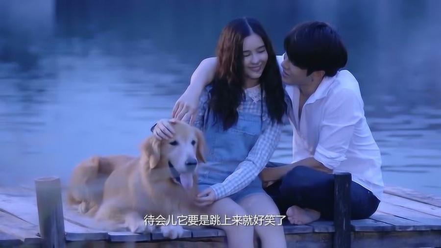 奔跑的兔子